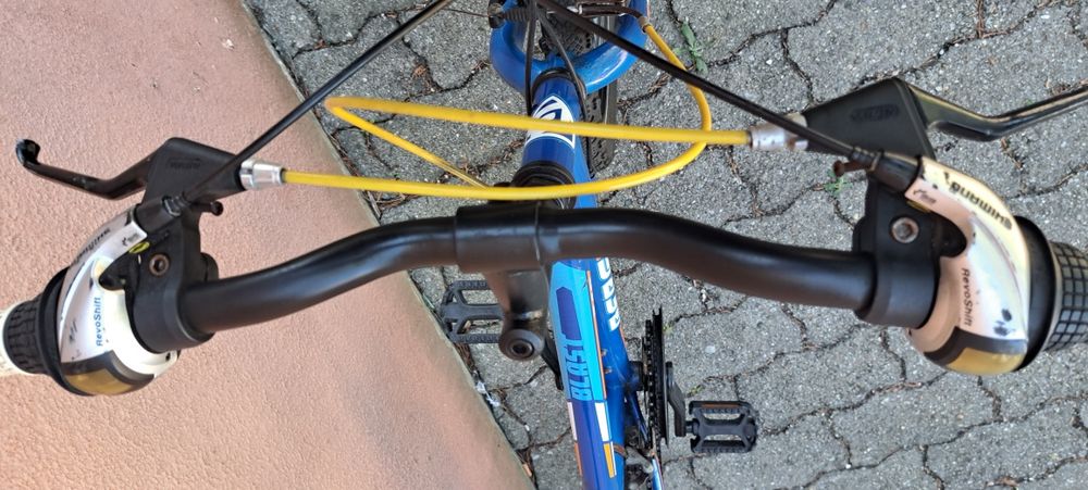 Bicicleta "Berg"