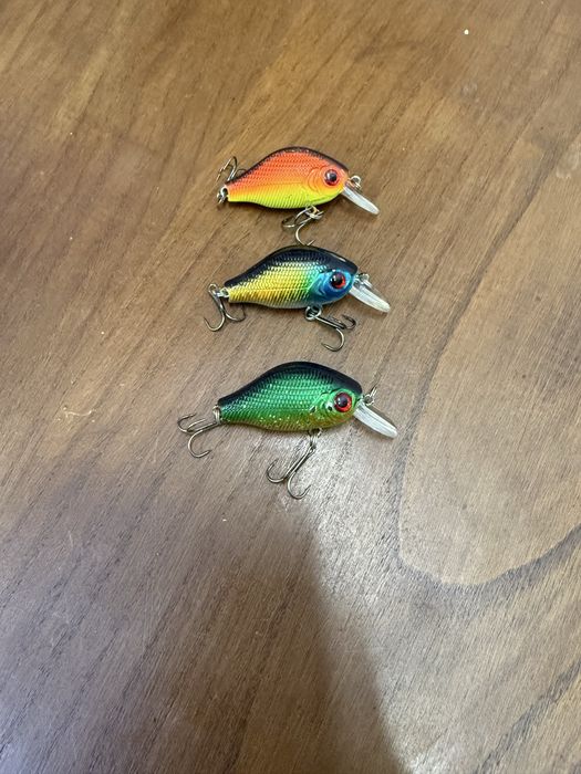 Lote de amostras para pesca