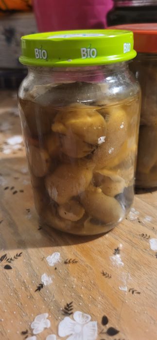 Maślaki marynowane 10 sloiczków