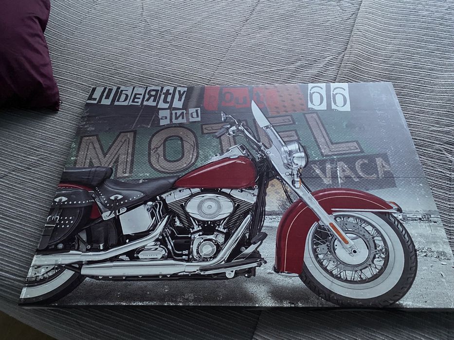 New motorcycle screen.64739988265857121