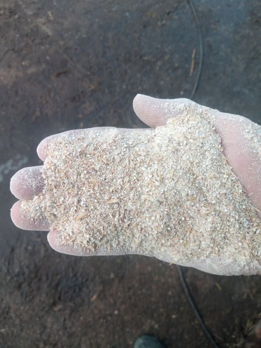 Śruta zbożowa z własnego zboża