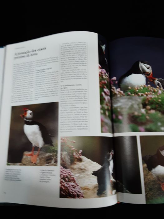 Colecção de livros sobre animais