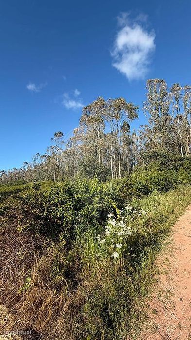 Terreno  para venda