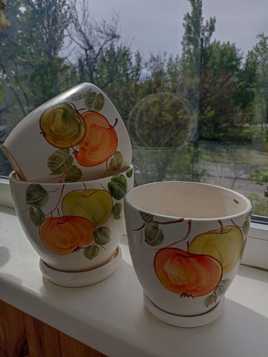 Кашпо горшки для цветов бонсайницы