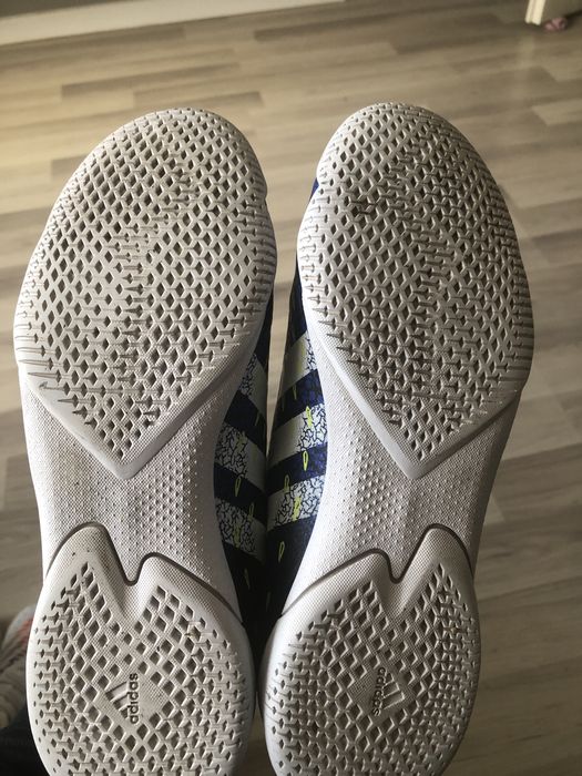Buty halowe adidas Predator