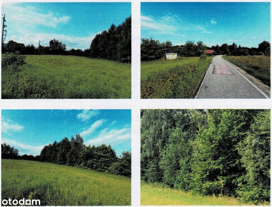 Działka 1,54 ha (30 arów: rekreacja/budowlana + 1,2 ha las) – Kamionna - Widok 5