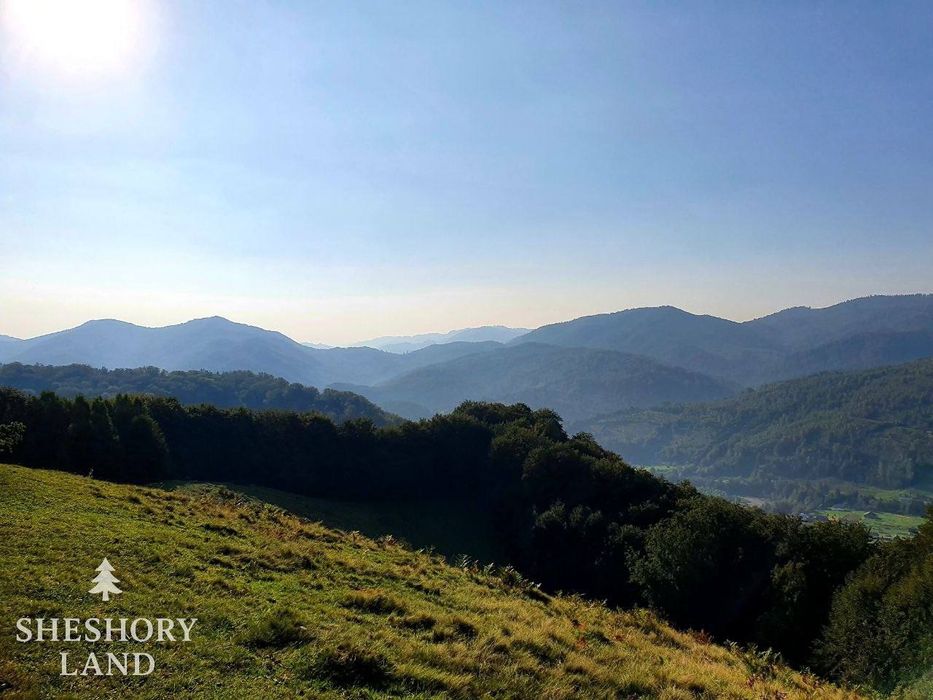 Будинки та земельні  ділянки в Шешорах