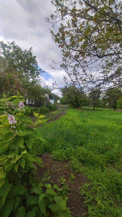 Продаж земельної ділянки в с. Слобода, Обухівський (Кагарлицький) р-н