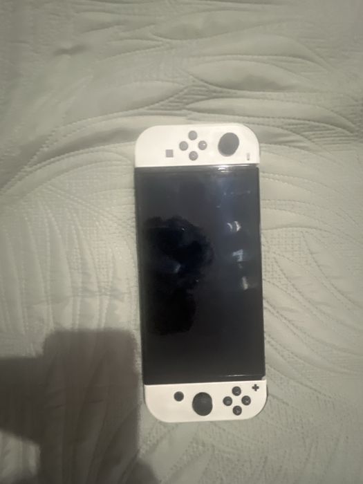 Nintendo seitch