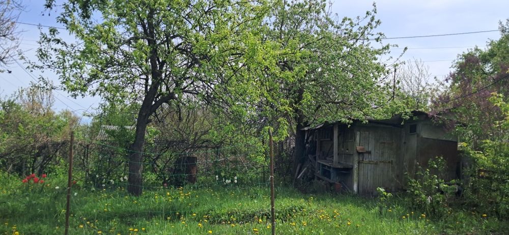 Дача, Пролетарський Гай, урочище Святе
