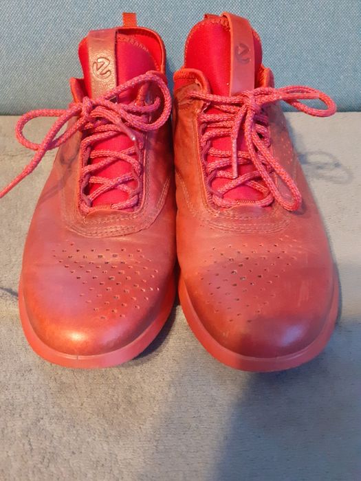 Buty Ecco rozmiar 36