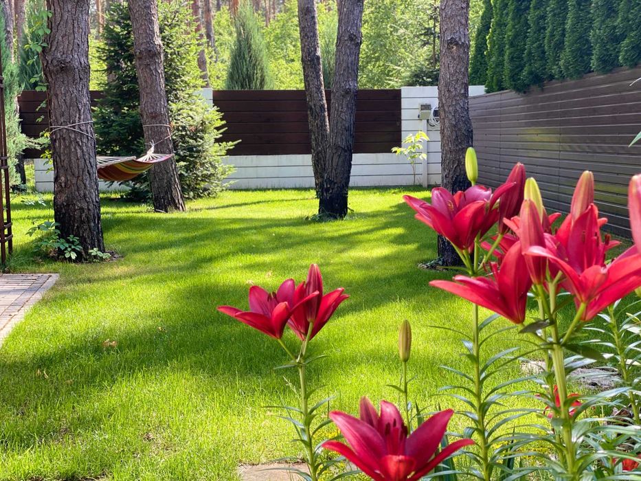 Одноповерховий будинок з ремонтом Лісова Буча, вул. Котляревського