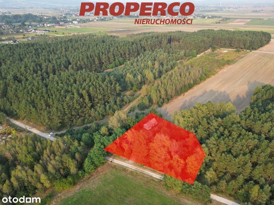 Dom, pow. ok. 80 m2, Promnik, gm. Strawczyn