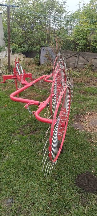 Грабарка сонечко