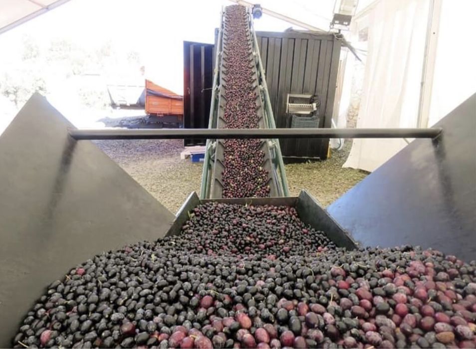 Azeite qualidade DOURO !! 0,3 de acidez! Só paga no acto da entrega.