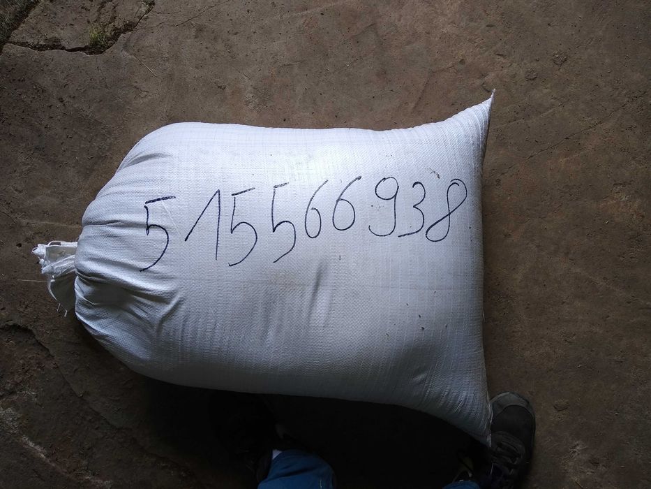 Ekologiczna koniczyn trawa lucerna tymotka lucerna,gorczyca