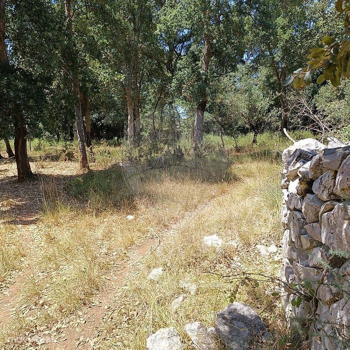 Terreno  para venda