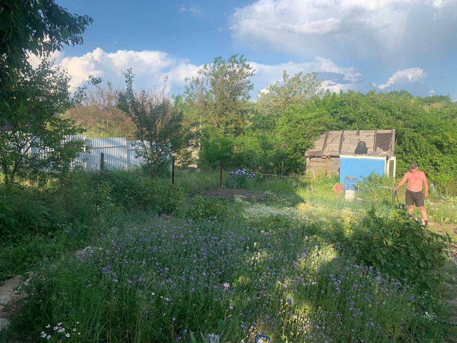 Дачка неподалік Білої Церкви .Ділянка приватизована.