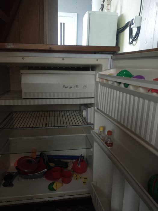 Холодильник у дерев'яному корпусі Снайґе 1m. Snaige 1m