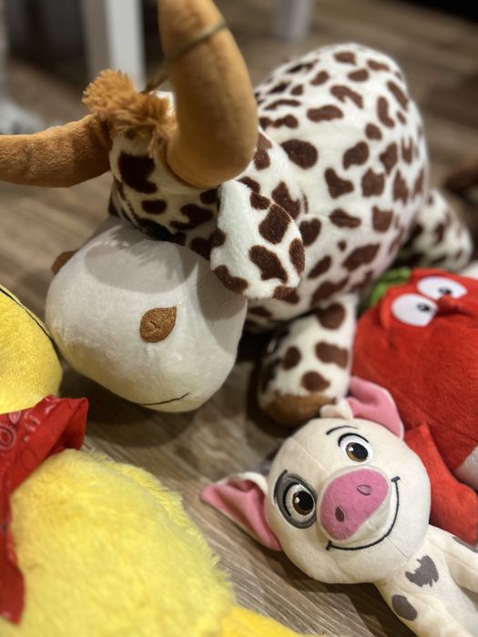 Worek pluszakow 2 grajace