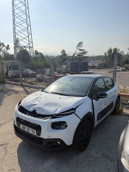 Citroen c3 salvado