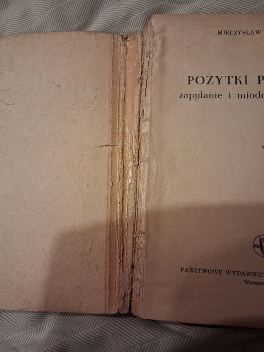 Pożytki pszczele M Lipiński