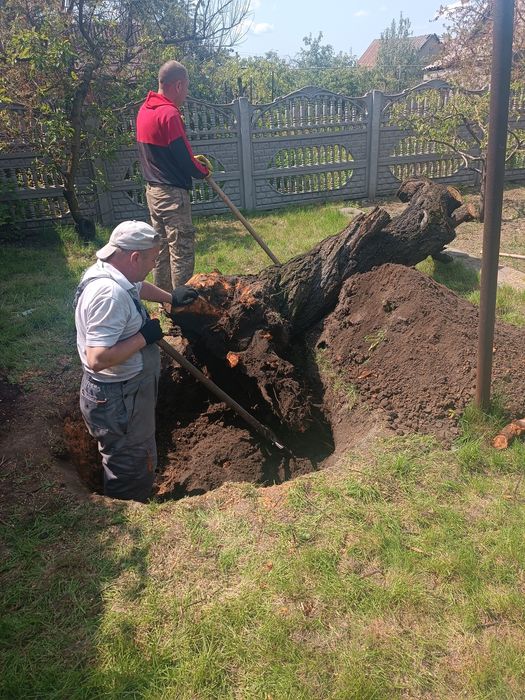 Уборка участка под ключ, покос травы, спил деревьев, корчевка пней.