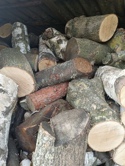 Drewno opałowe różne rodzaje