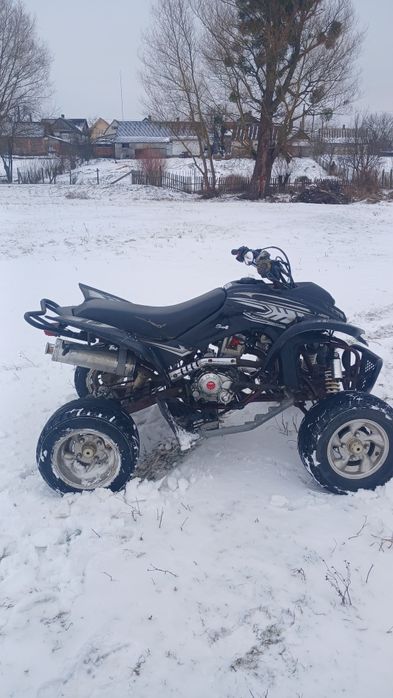 Квадроцкл шенрей 250