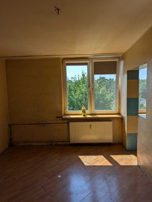 Zdjęcie 3