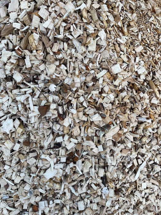 Щепа паливна  сухостій ( береза, граб)