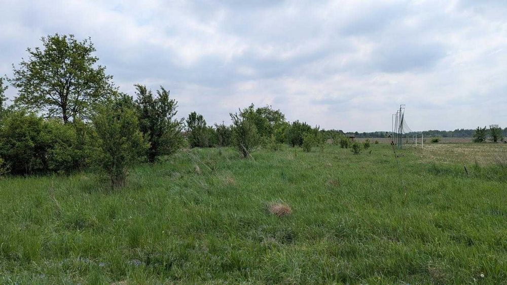 Продаються 2 земельні ділянки загальною площею 50 сот Марківці (12)