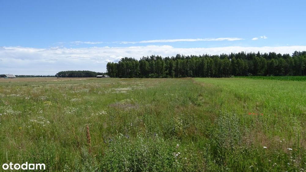 Działki Bory Tucholskie, Nowy Sumin