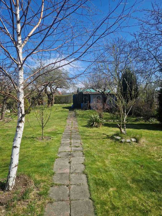 Działka ROD Gdańsk – Bohaterów Monte Cassino | 455 m²