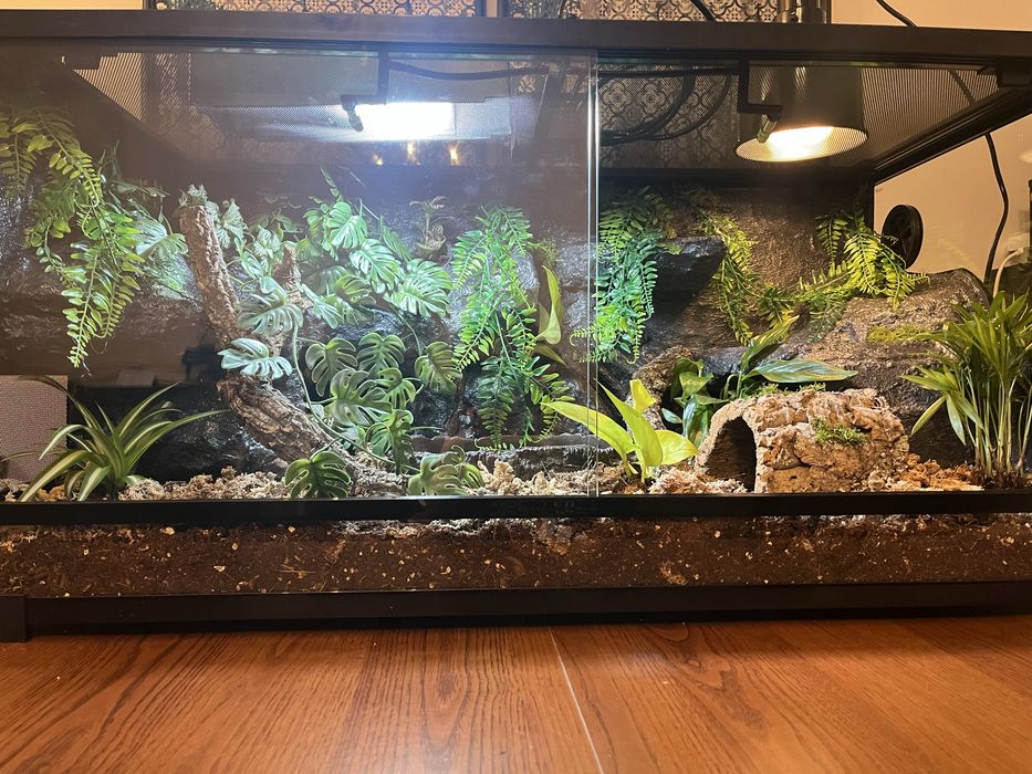 Terrarium na zamowienie.