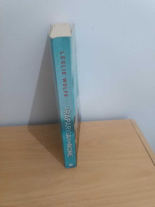 A Rapariga Sem Nome de Leslie Wolfe