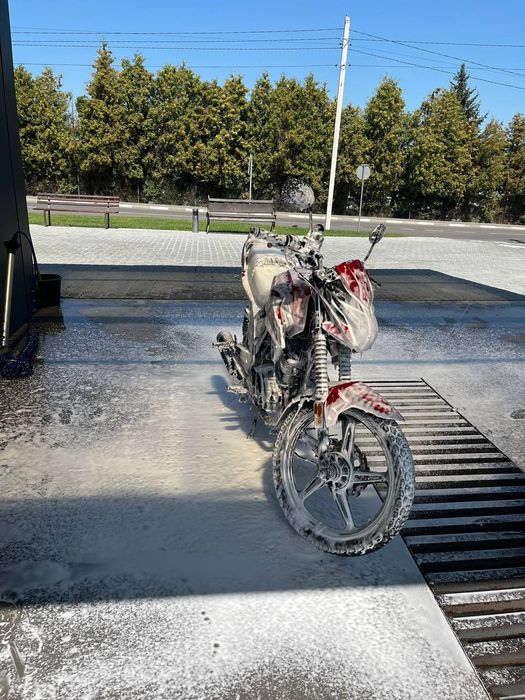 Musstang fortuna 200