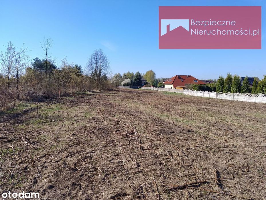Działka rolno-budowlana w otoczeniu lasu - Widok 4