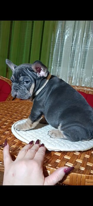 Мальчик голубой подпал