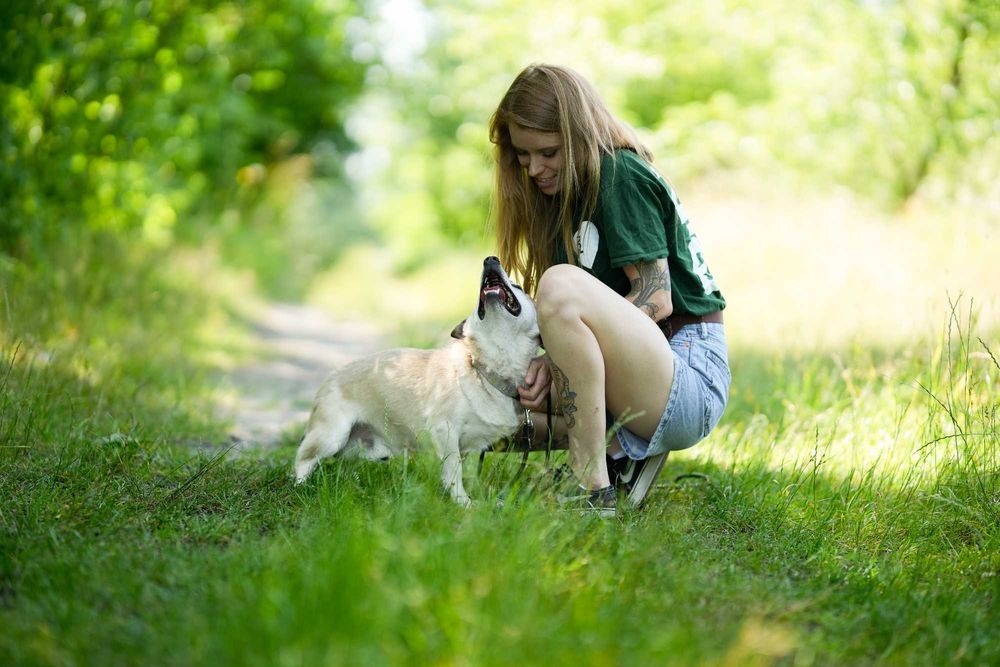 Kajtek - pies o złotym sercu szuka kochającego domu!