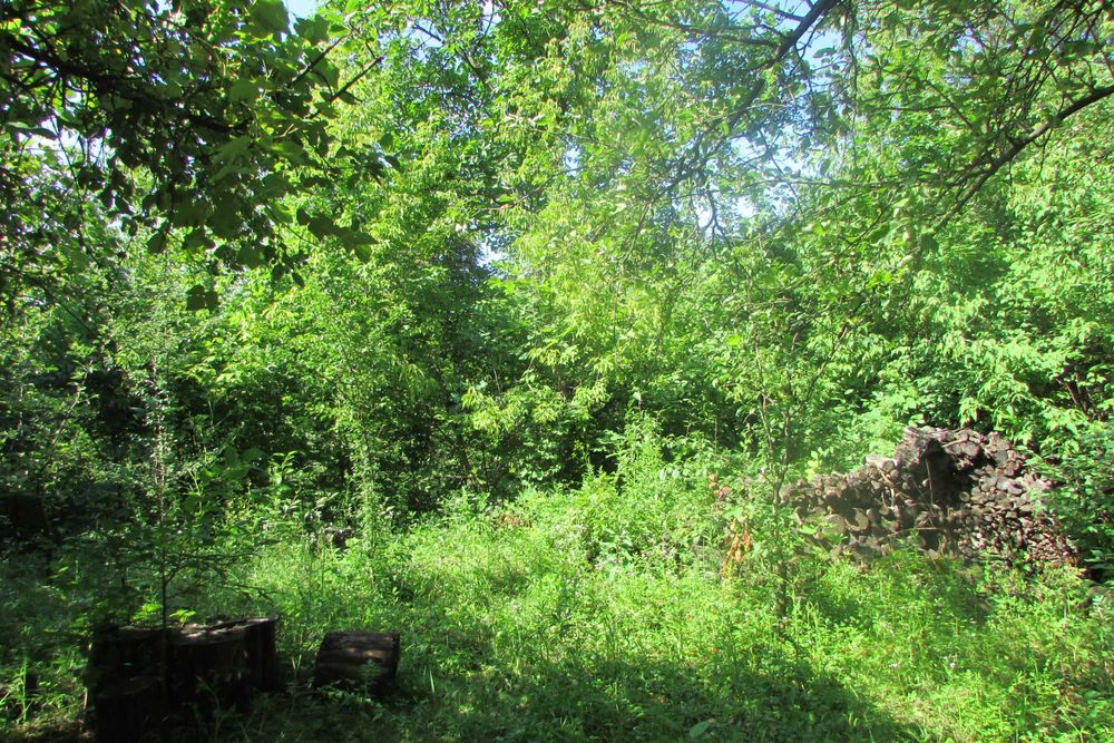 Земельна ділянка 10 соток в с/т "Кожевнік" вул. Отто Шмідта 22/26