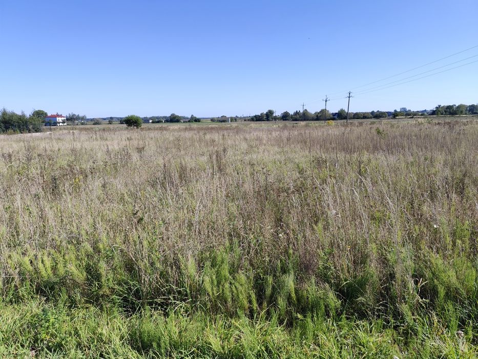 Działki Budowlane Skaryszew