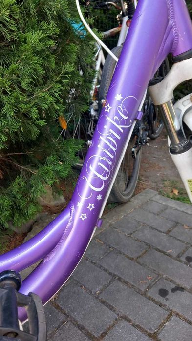 Rower Unibike Princess 6