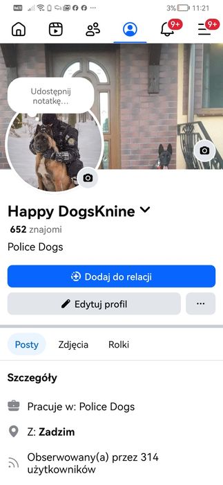 Owczarek Holenderski ostra