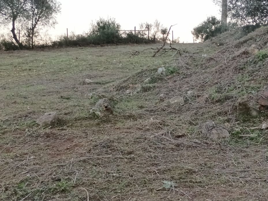 Serviço limpeza terreno/jardins
