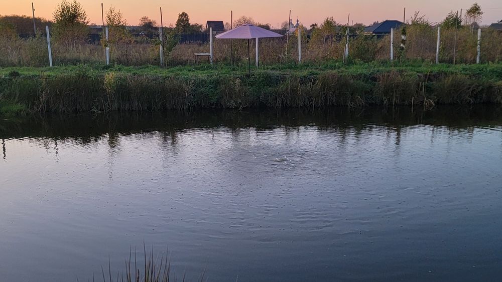 Продам ділянку з ставком.