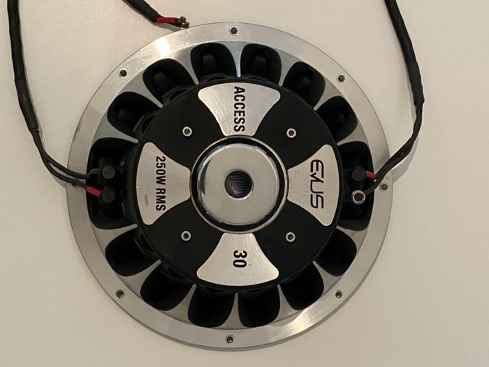 Subwoofer EVUS ACCESS 30 de 12 polegadas