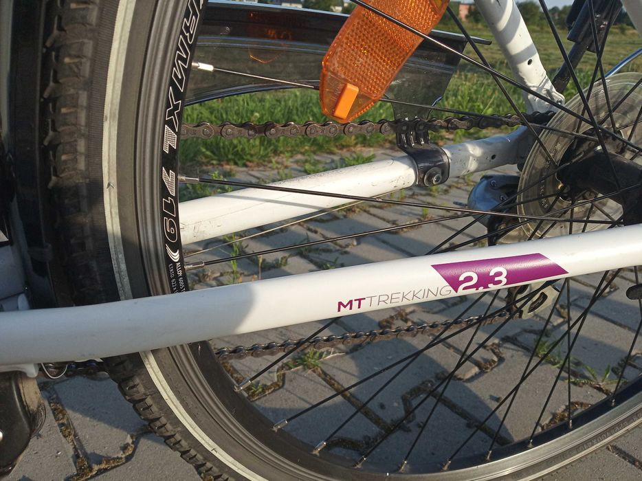 Rower Maxim MT Trekking 2.3 28" rama 17"