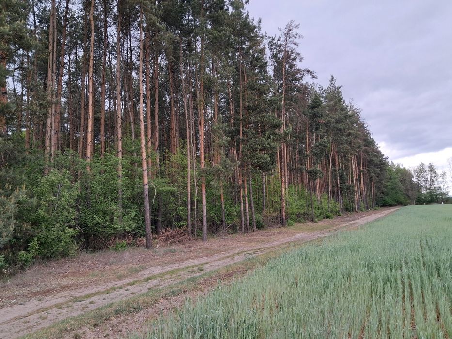 Działka budowlana w kształcie kwadratu 1030 m² - Widok 4