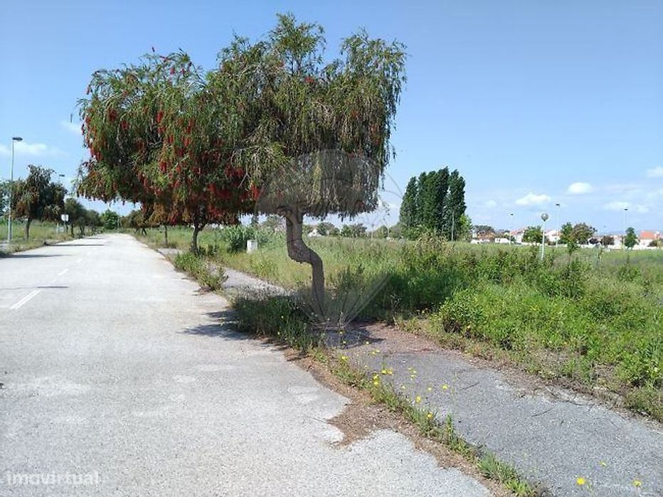Terreno  para venda — São João Baptista, Santarém